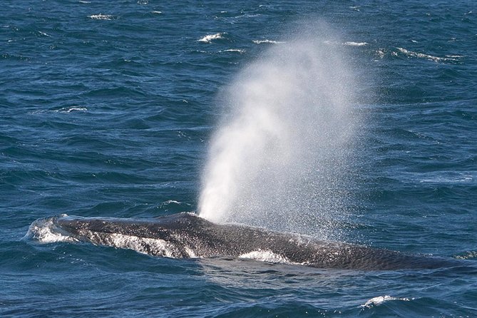 V&A Waterfront Marine Big 5 Ocean Safari - Directions