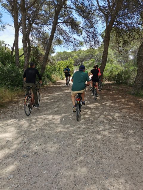 Valencia: Albufera Natural Park Bike and Boat Tour - Experience Highlights