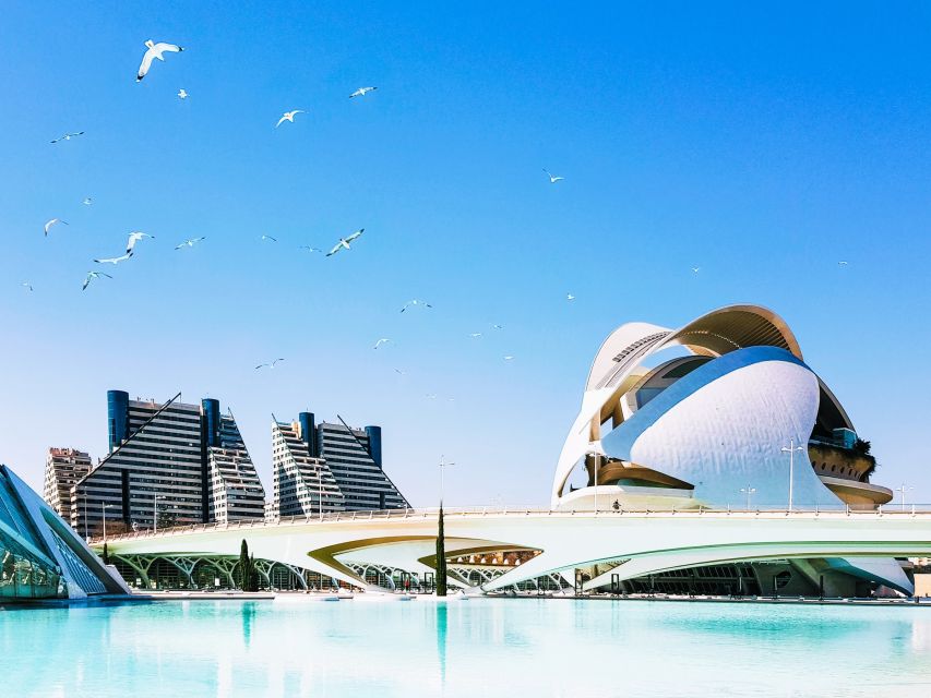 Valencia: Private 4-Hour Walking Tour With Cathedral - Accessibility and Logistics