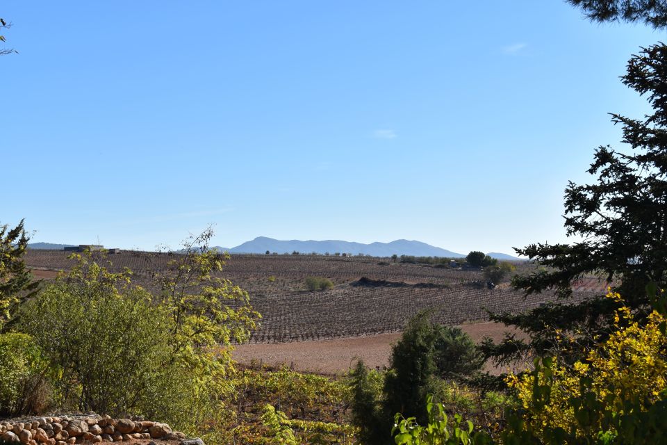 Valencia: Utiel-Requena Cave & Winery Day Trip With Tasting - Common questions