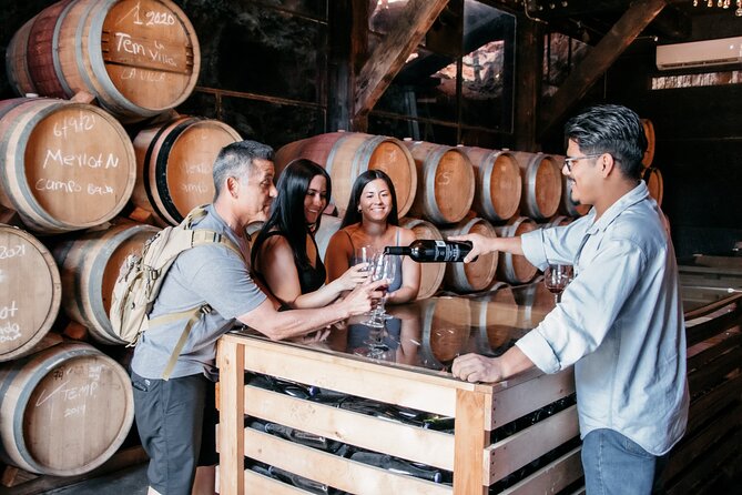 Valle De Guadalupe: Private Wineries Tour  - Ensenada - Tour Guides and Company Info