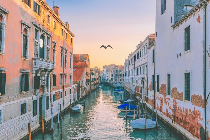 Venice Guided Walking Tour - Schedule and Timing