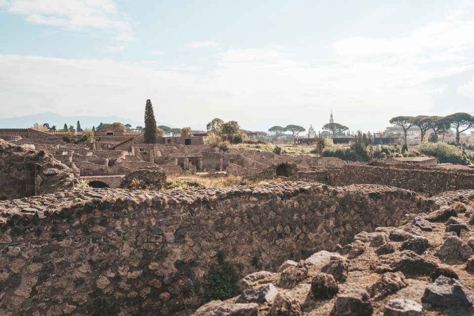 Vesuvius Valley and Pompeii With Wine Taste and Lunch by Van - Booking and Cancellation Policy