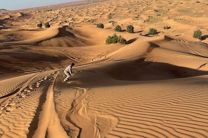 VIP Desert Safari & Dune Bashing With 5* Live BBQ - Unveiling Customer Reviews and Ratings