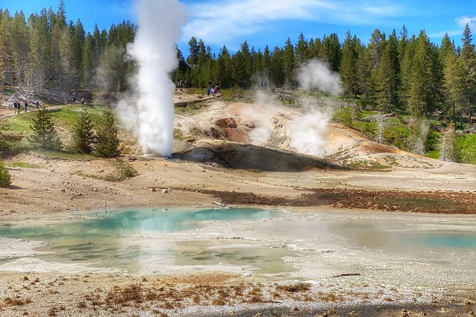 VIP Private Boutique Tour of Yellowstones Upper Loop - West Yellowstone, MT - Pricing and Group Size