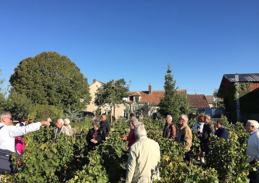 Visit and Tasting at Chablis Clotilde Davenne - Customer Review Example