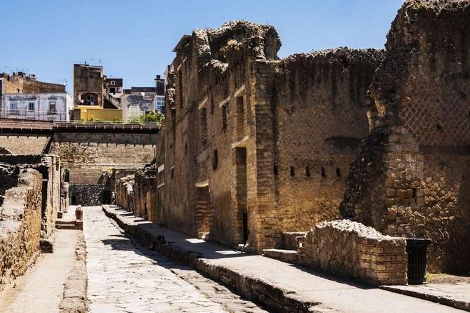 Visit Herculaneum With an Expert Professional Guide (2/3 Hours) - Expert Professional Guide Details