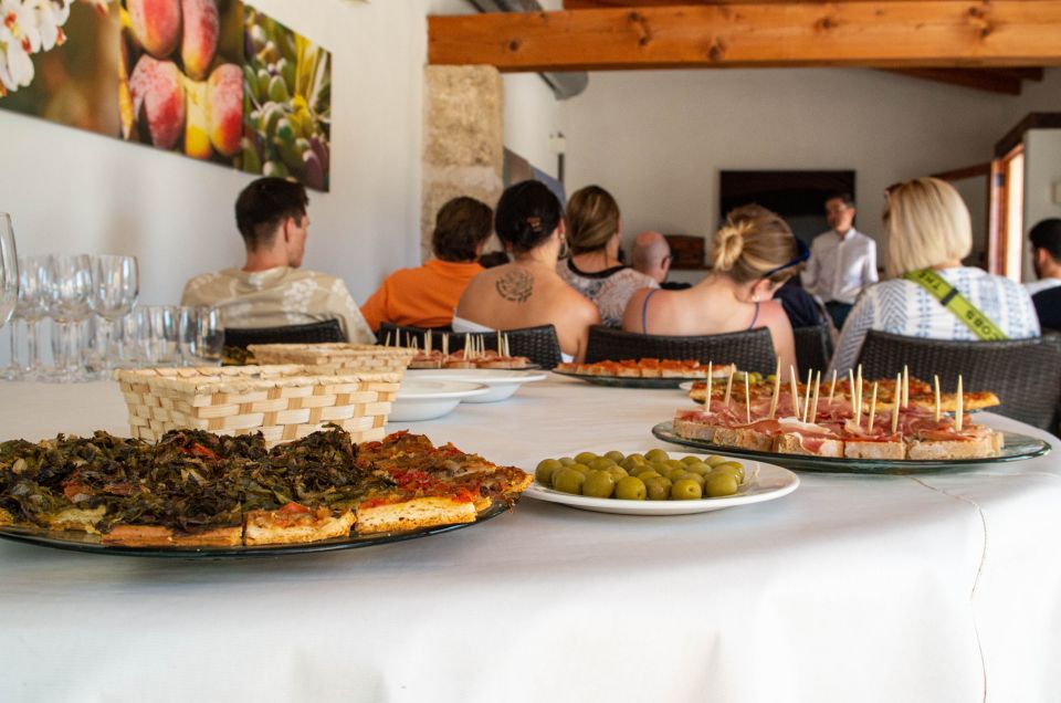 Visit of the Olive Grove, Olive Oil Tasting and Snack - Enjoy Informative Guided Tour