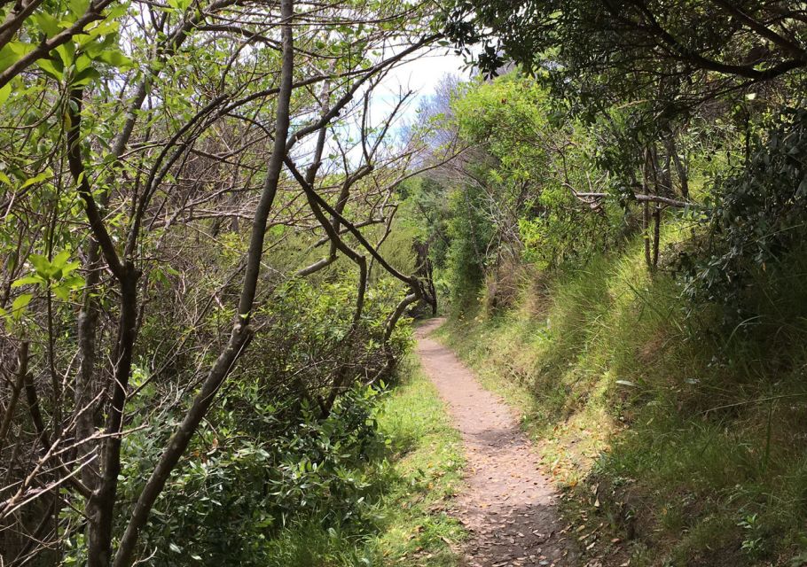 Waiheke Island: Private Guided Te Ara Hura 5-Day Walk - Last Words