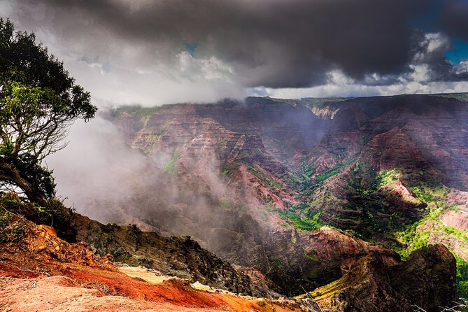Waimea Canyon Private Tour With Local Guide - Additional Information and Resources