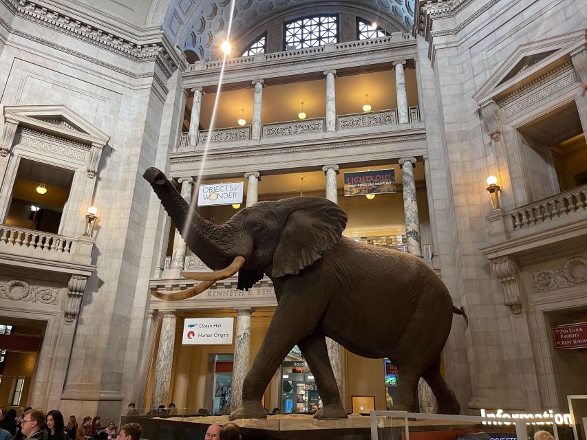 Washington DC: Smithsonian Highlights - Smithsonian Highlights Visitor Tips