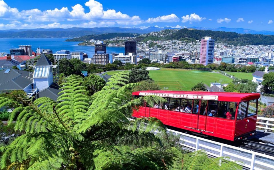 Wellington: Return Cable Car Ticket - Meeting Point Instructions