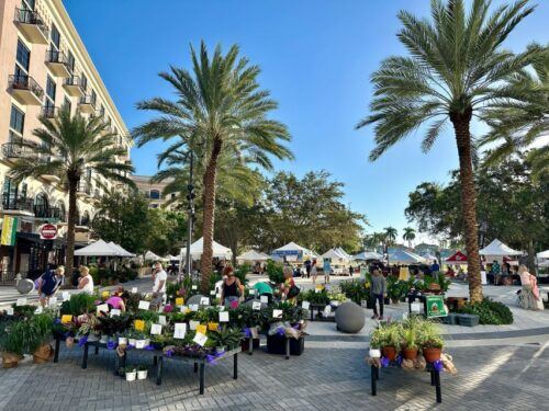 West Palm Beach: Mornings in the Market Food Tour - Common questions