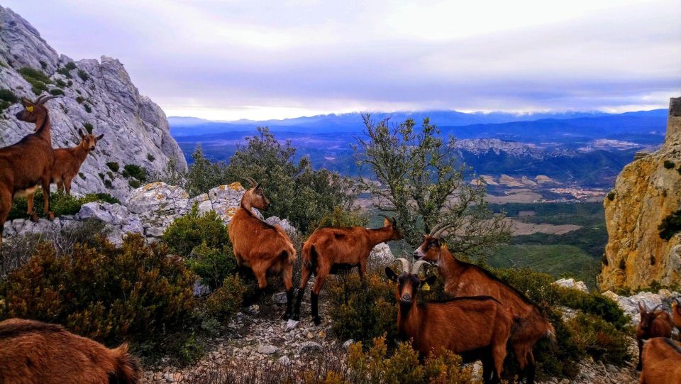 Wild Alps, Verdon Canyon, Moustiers Village, Lavender Fields - Last Words