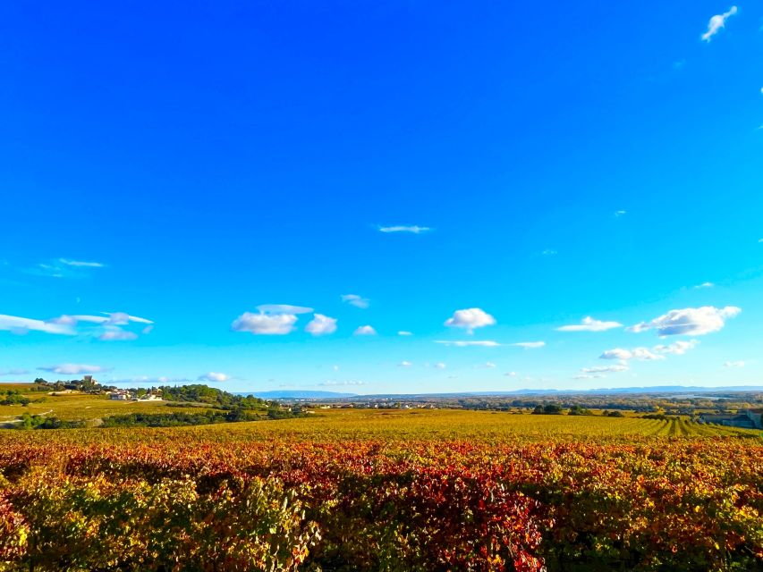 Wine Tasting in Châteauneuf-Du-Pape - Itinerary Highlights