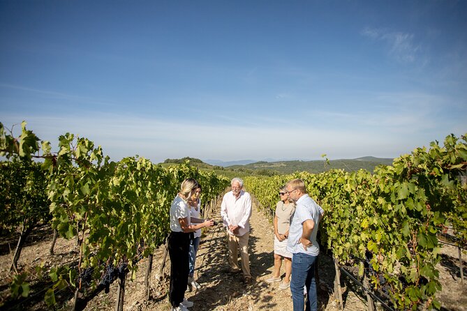 Winery Tour & Gourmet Tasting in Montalcino - Additional Tips for a Memorable Visit