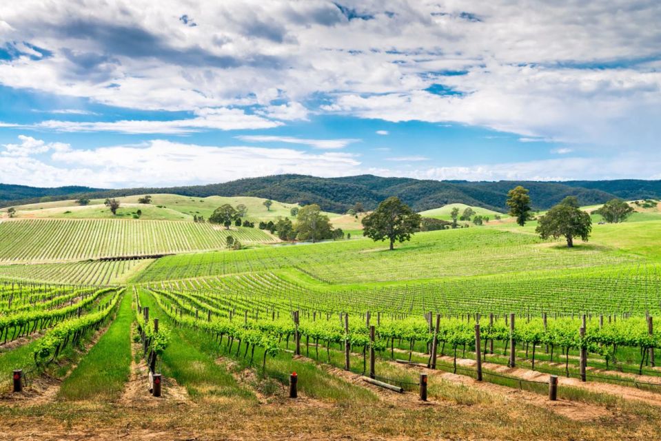 Wines and Whispers: a Barossa Valley Wine Tour From Adelaide - Common questions