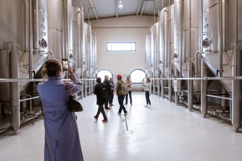 XXI Century Olive Oil Mill Tour - Last Words