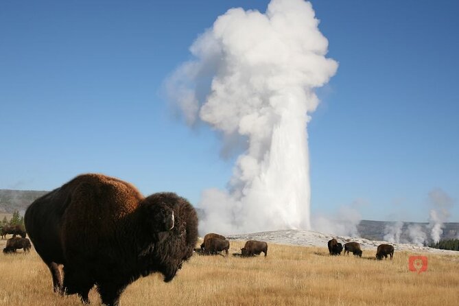 Yellowstone and Grand Teton Audio Driving Tour - Tour Last Words Location