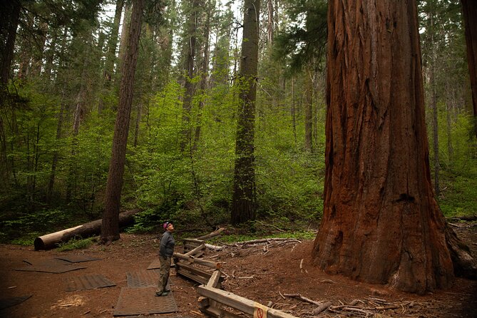 Yosemite Full Day Private Tour and Hike - Additional Details