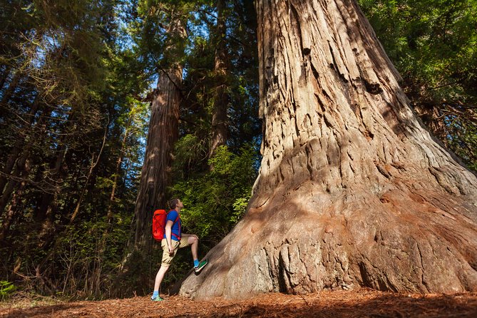 Yosemite National Park & Giant Sequoias 2-Day Semi-Guided Tour - Meeting Points and Departure