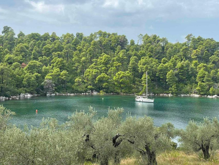 Your Mamma Mia Adventure on Skopelos Island! - Embrace the Mamma Mia Spirit