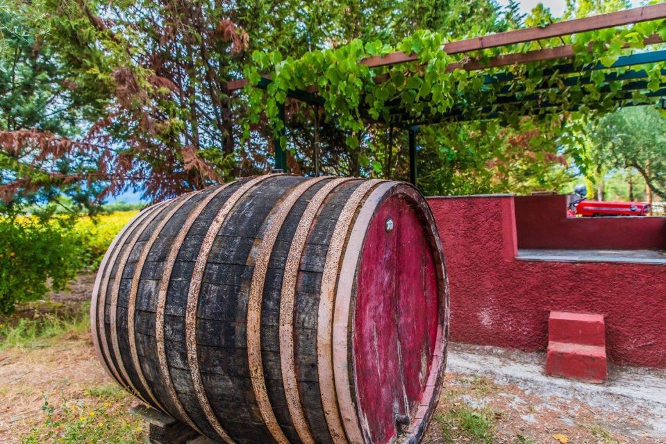 Zakynthos: Private Tour With Wine & Olive Oil Tasting - Pickup and Drop-off Locations