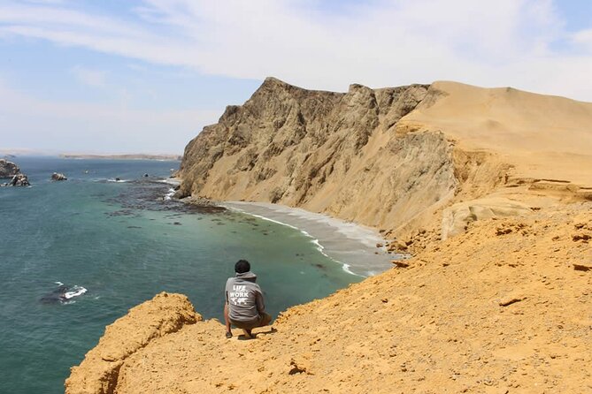 7-Hours Tour in Paracas National Reserve With Pickup - Tour Overview