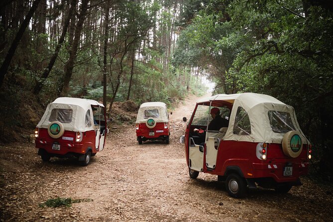 1 Hour Private Tuk-Tuk Tour in Sintra - Safety Guidelines