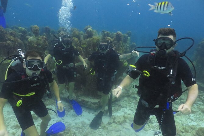 1st Life Experience Scuba Diving in Cancun FREE Photos/Videos - Booking Process
