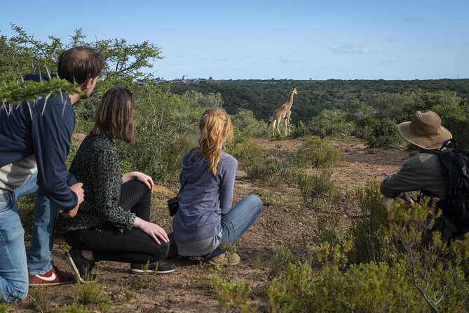 2 Day Addo Elephant Park Safari - Contact Information