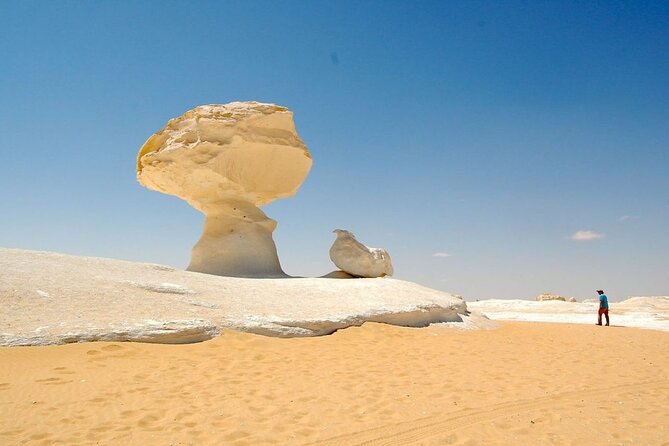 2 Days White Desert And Bahariya Oasis Tour - Last Words