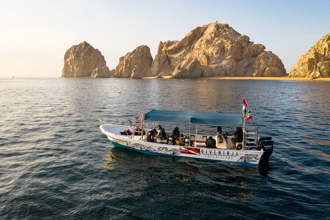 2 Dives in the Cabo Marine Park - Last Words