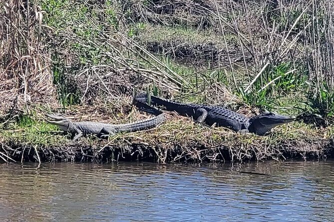 2 Hours Boat Tour in Louisiana Bayous Near New Orleans - Common questions