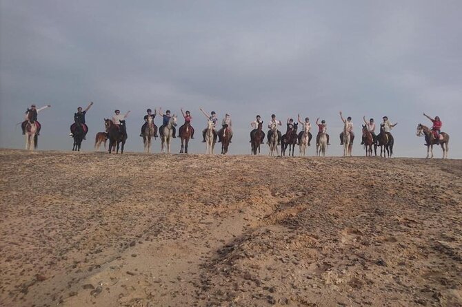 2 Hours Horse Riding on the Sea and Desert- Hurghada - Last Words