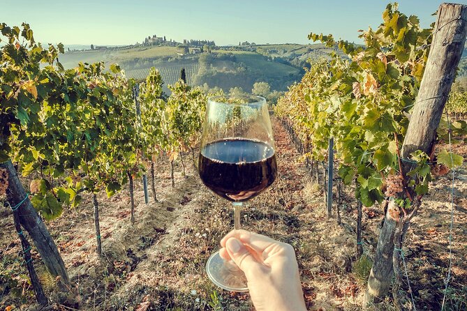 2 Wineries Chianti Wine Tasting & Vineyards Walk Private Tour - Pricing Details