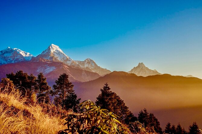 20 Days Manaslu Circuit Trek With Tsum Valley in Kathmandu - Common questions