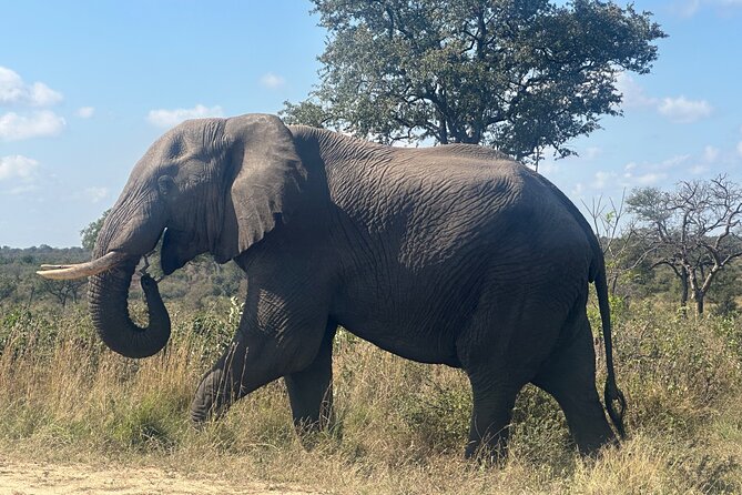 3 Day Kruger National Park End With Panaroma - Last Words