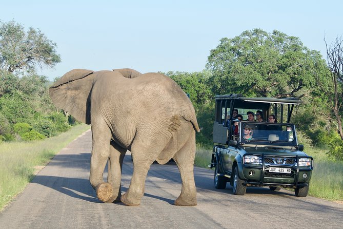 3-Day Kruger National Park Safari Including Breakfast and Dinner