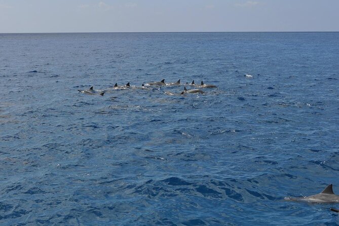 3 Hour Maalaea Luxury Snorkel Cruise Tour Exclusive to 6 Guests - Common questions