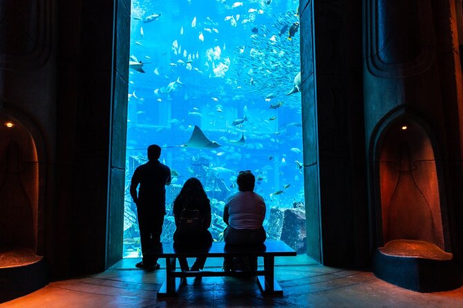3-Hour the Lost Chambers Aquarium Tickets With Pick and Drop off - Pricing and Booking Terms
