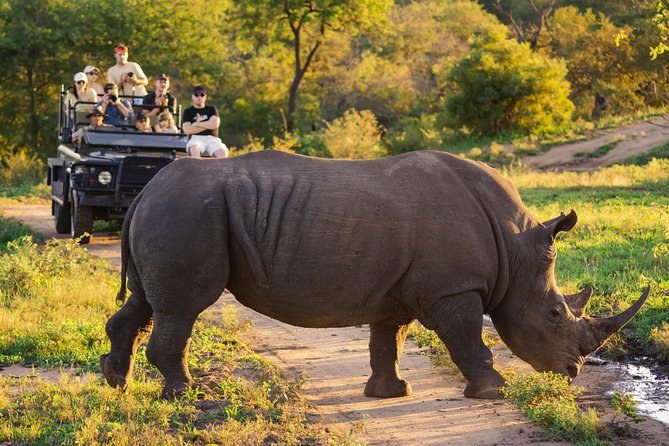 5 Day-Kruger National Park Safari From Kruger Int. Airport (Kmi), Panorama Route - Accommodations and Meals