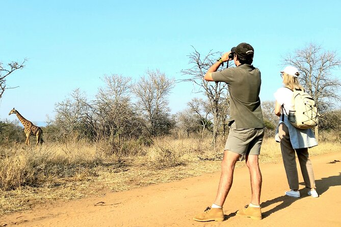 6 Days Safari and Culinary Private Tour in South Africa - Last Words