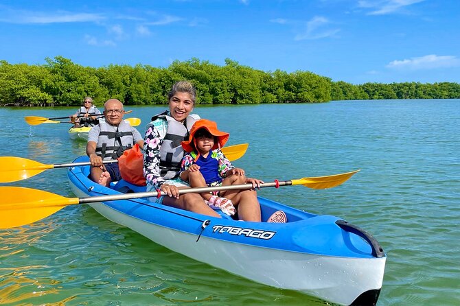 A Private Half-Day Kayaking Experience in Nichupté Lagoon  - Cancun - Last Words