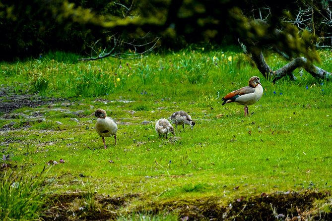 A Weekend Trip to the Fairytale Castles and Gardens - Common questions