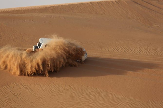 Abu Dhabi Desert Safari 4x4 Dune Bashing & Camel Riding & Sand Boarding With BBQ - Last Words