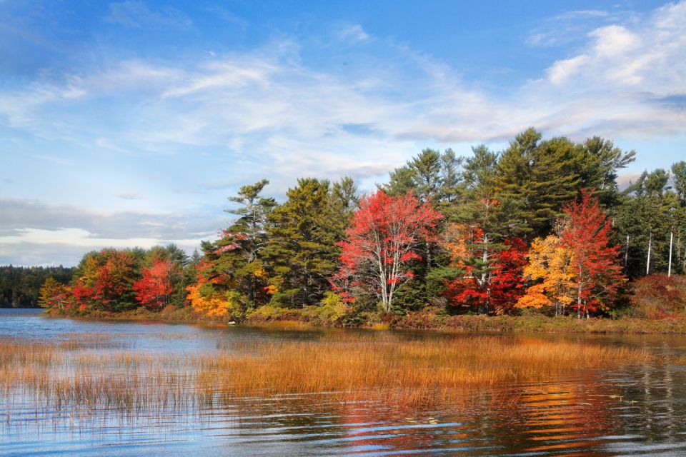 Acadia: Mount Desert Island Self-Guided Driving Tour - Common questions