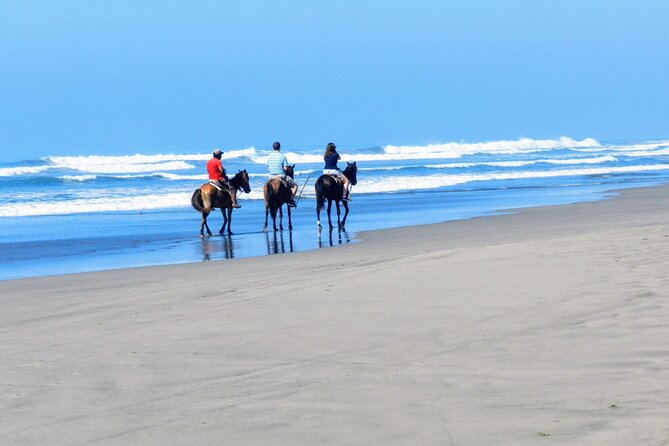 Acapulco Beach Horseback Riding Tour With Baby Turtle Release - Additional Tour Information and References