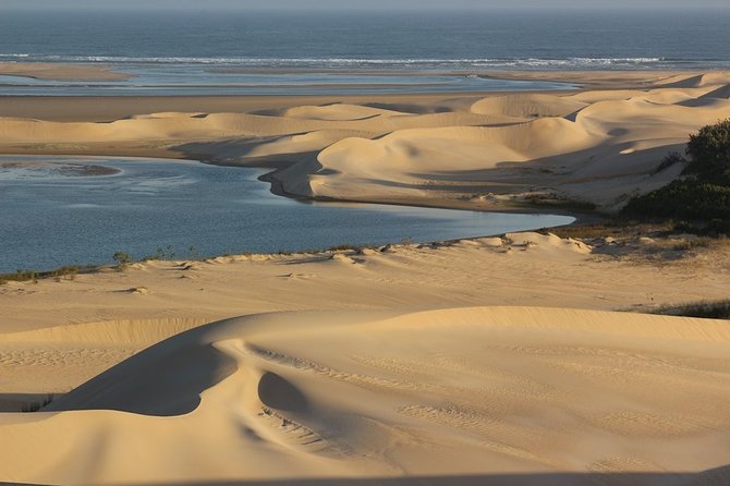 Addo Elephant National Park and Sunset River Cruise - FD04 - Scenic River Cruise