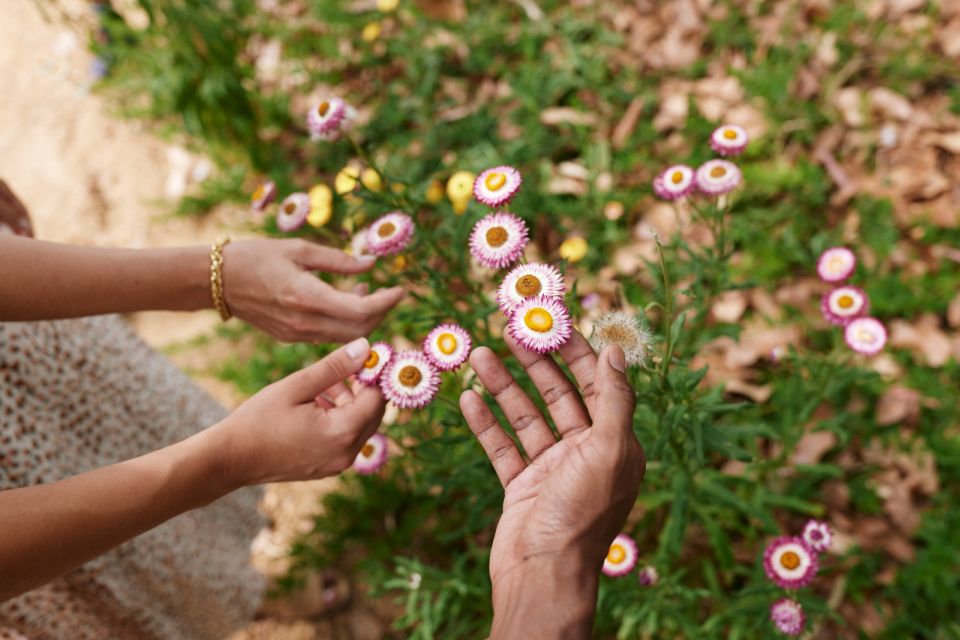 Adelaide: Guided Cultural Tour of Adelaide Botanic Garden - Last Words